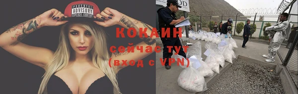первитин Осинники